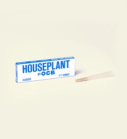 HouseplantQ23675_EDIT