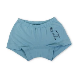 Young Girls Panties