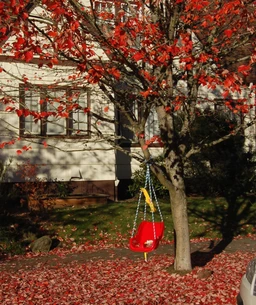 RedSunsetRedMaple1