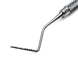 Oral Tools