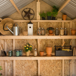 8_Shelf