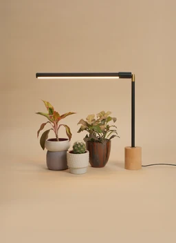 Versa_Tabletop_Grow_Light_-_Black_with_Wood_Base_-_Profile