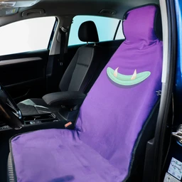 Car Seat Cover