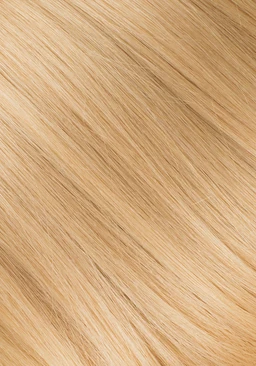 Golden_Blonde_Pro