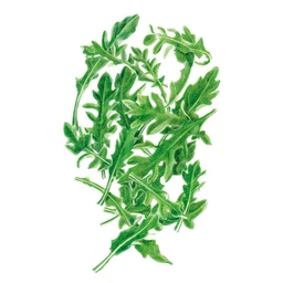 7622i_L-Baby-Greens-Arugula-ORG_99j7i1_07da74c3-4e2e-4b86-965b-1bd2e41af312