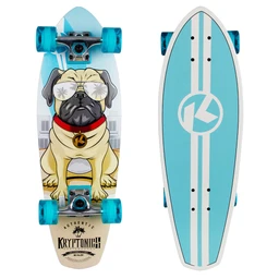 Skateboards & Longboards