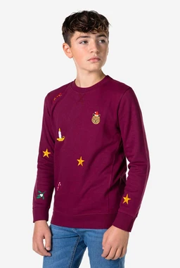 OppoSuits-Deluxe-Teen-Boys-Sweaters-X-Mas-Icons-Burgundy1