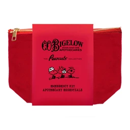 Snoopy-Emergency-Kit--POW