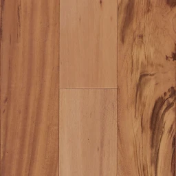 10034329-sw-new_ropsnr