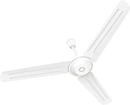 Ceiling Fans