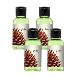 Rainbow-Fragrance-Pine_626253c4-7f1f-4cd1-89c5-9fc72e6d9f16