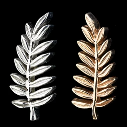 BVLA-Fern