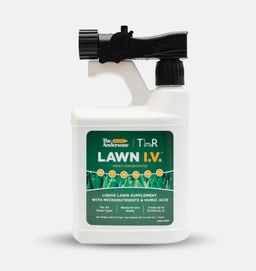 lawn-iv-black-studio