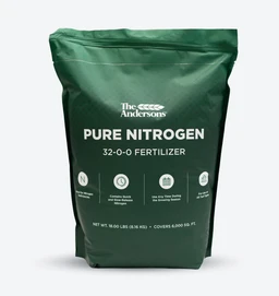 pure-nitrogen-studio-new