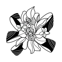 OD-IB00584-IB-3.0-3.0