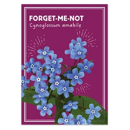 am012171-forgetmenot-dropshadow