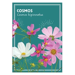am012199-cosmos-dropshadow_1
