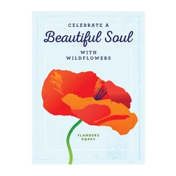 beautiful-soul-packet-front