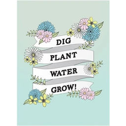 dig-plant-water-grow-seed-packet