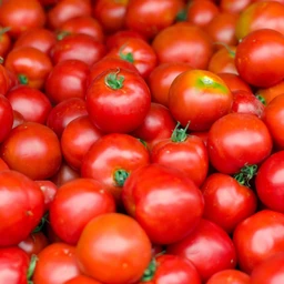 AdobeStock_259788715