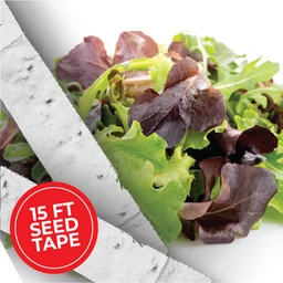 BabyLeafSeedTapeProductImage