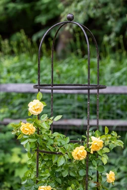 39-530_0049_jardin-round-tuteur-7-foot-tif