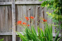 8614353_0076_jardin-plant-stakes-60-inch-set-of-3