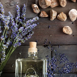 17253-lavender-cedar-leaf