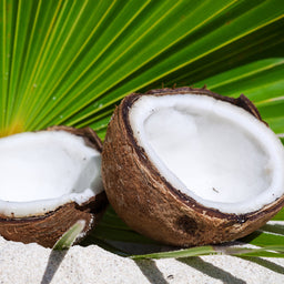 6252-Exotic-Coconut-Fragrance-Oil-112