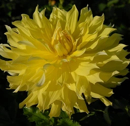 12-blondee-001_2