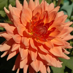 65-baarn_bounty-001_2