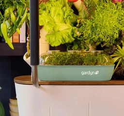 Nursery-LimitedEdition-Sage-Desktop-930