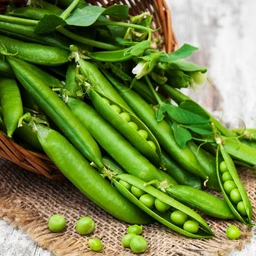 Little-Marvel-Pea__82169.1667522839.1280.1280