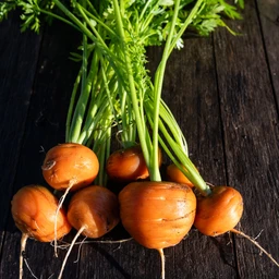 iStock-1697052868