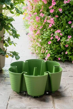 KHPCo-2024-6-3-GreenStalk-FathersDay-212
