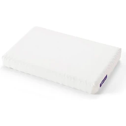 QK1087201_PURL_PRI_OL