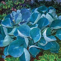 94918