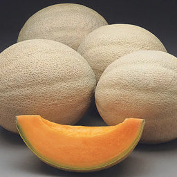 66185