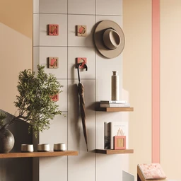 shingle-aksel-book-wedgie-ellie-modern-entryway-detail-1