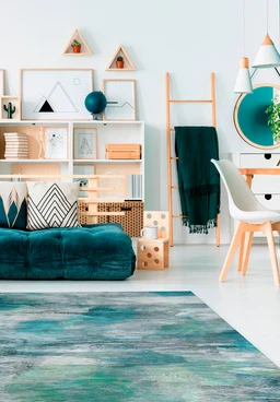 Furniture Protection