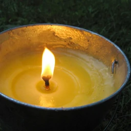 Citronella__46694_d5qwlr