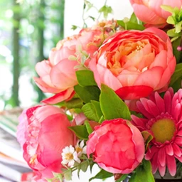 Sweet_Pea__89220