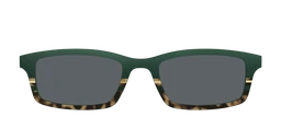 CEDRO_POLARIZEDSPRUCETORTOISESUNTOP_26_STPATRICKSDAY_3D