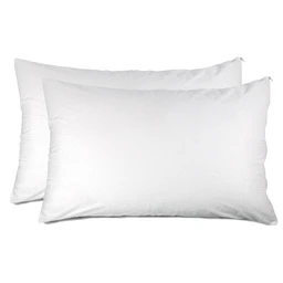 Two_Standing_Pillow_Protector