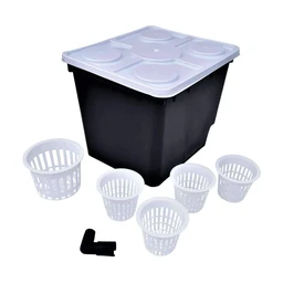 Dutch_Bucket_2000x_1