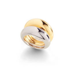 ML-The-Merge-Mixed-Metal-Ring-01ecomm