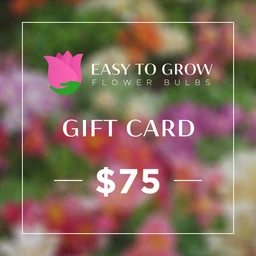 ETGB-GiftCard-75
