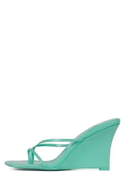 BISCOTTI_Mint_Patent_1