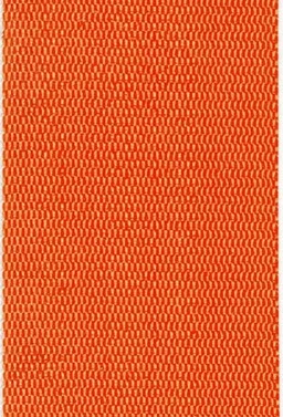 30031