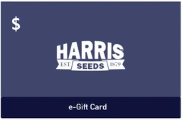 100giftcard